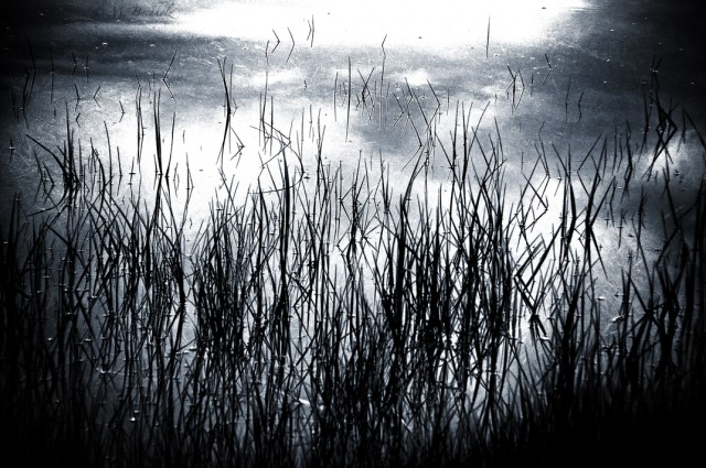 Water Reflection Abstract