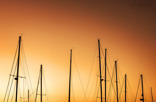 Newburyport Harbor Masts; Newburyport, MA