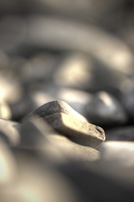 Depth of Field Study on Rocks