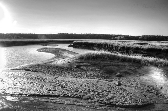 Rye Harbor State Park; Rye, NH