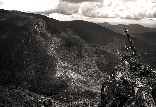 Carters from Wildcat Overlook