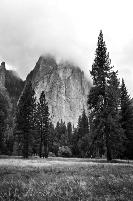 Yosemite National Park; California