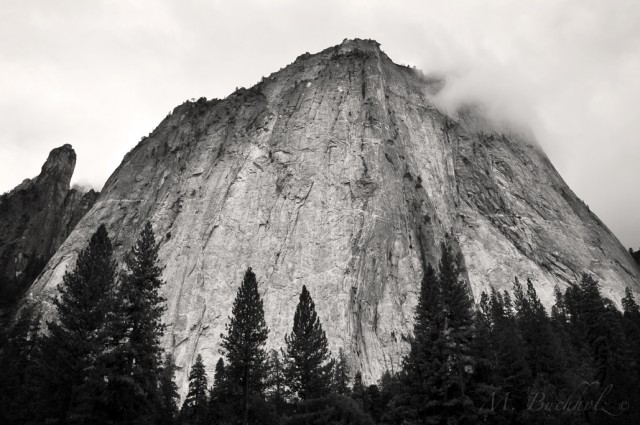 Yosemite National Park; California