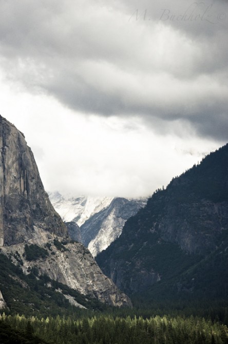 Yosemite National Park; California