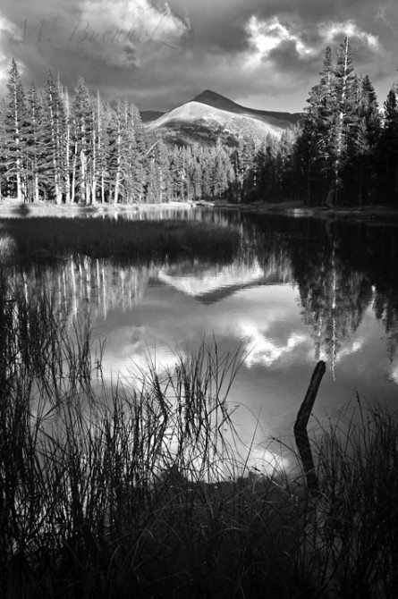 Yosemite National Park; California