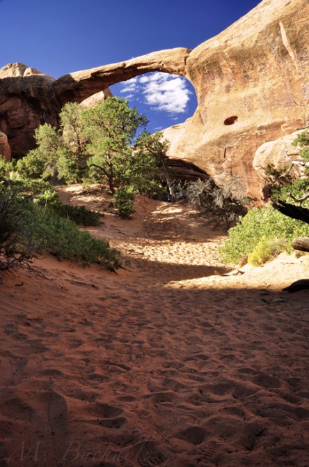 Arches National Park; Moab, Utah