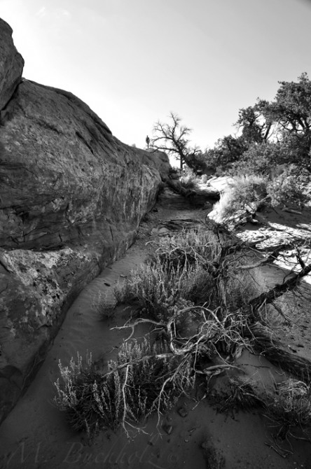 Arches National Park; Moab, Utah