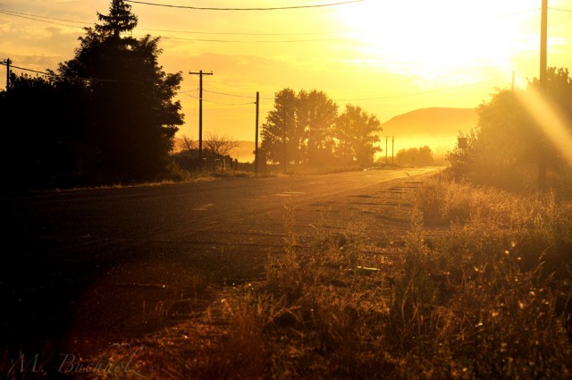 Sunset on the road