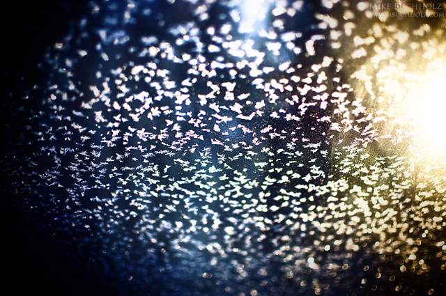 Window Frost