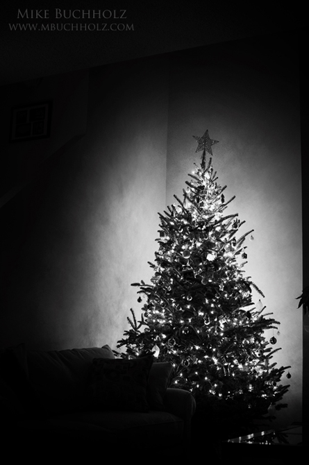 Cornered; Christmas Tree