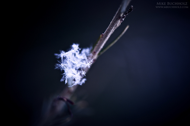 Fallen; First Snowflakes of 2010 New England Blizzard